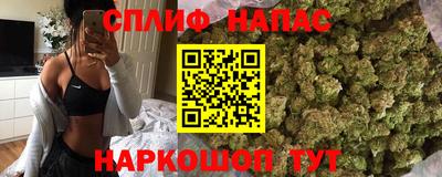 гидропоника Дубна
